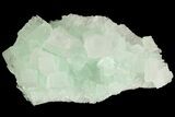 Mint Green Halite With Atacamite - Rudna Mine, Poland #79273-3
